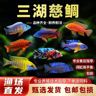 �R��̹�����������~�ھ����ӻ��w��С�����B�׻�Ꭷ�^�p�~��ˮ�~