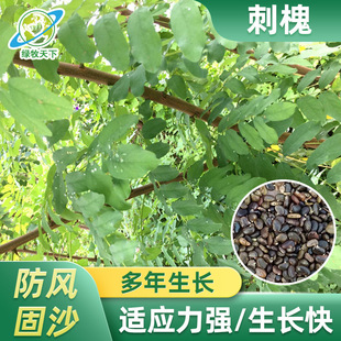 �̻���ľ�N�����l�໨ľ�m���G�y�Ϛg���뻱߅�¾G����ɽ���S����