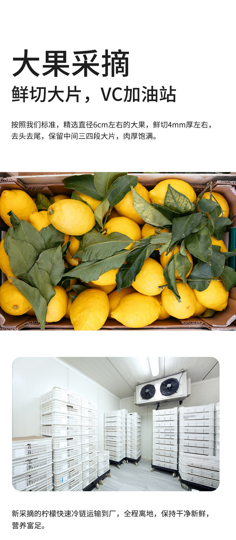 Freeze-Dried Lemon Slices Ning Meng Pian 60g Jar Herbal Tea for Hot or Cold Brew specifications