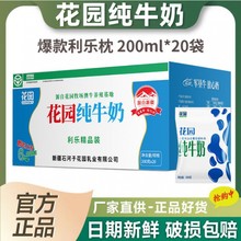 【新日期】花园新疆纯牛奶200ml*20袋装全脂生牛乳早餐整箱批发