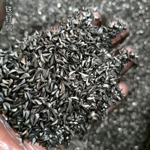 �����F�м ᔼ���������������Fм�F�� 䓏S�T��ȥ���F�м