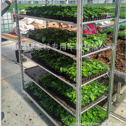 厂家直销1350花卉物流周转车，可灵活移动方便省力花卉蔬菜育苗车