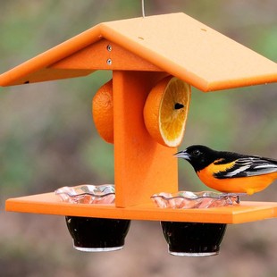 �羳�¿���Lι�B���p���������Lιʳ�������ͥԺ�bҒ��B����