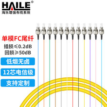 HAILE海乐 FC电信级单模12芯束装束状尾纤 法兰盘 ODF配线架专用