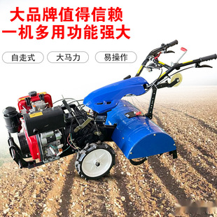 ΢���CС���r����������C���������C��ؙC���ͷ������Ÿ���C