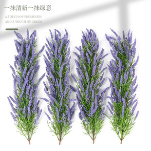 �羳���R�d����޹�²��ٗl���ٻ�c�͏d�Ҿ��b����ϼٻ���������