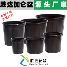 �Ӂ����� ��ɫ�ȿ׼Ӂ��� �����p�|��������ظ����܄��_���ϻ���