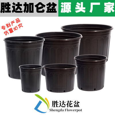 加仑花盆 黑色加仑盆 矮胖轻质花盆育苗控根胜达吹塑加仑塑料花盆