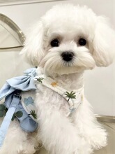 ������ϵ���à����K�����Y��ر���ʽ�����ر��K�ӱ���̩�ό�����