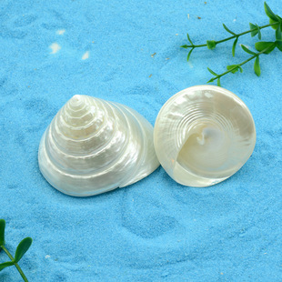 ��Ȼ����ؐ��ҹ��С�������������~���쾰ˮ���b˱��[���zӰ