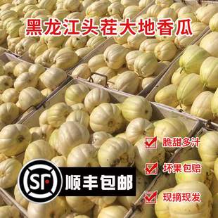 �|����ϰ��ǹ������Ͼ�����Ϻ��������ˮ���Fժ�F�l5��