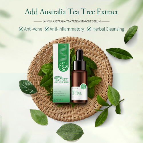 LAIKOU Tea Tree Essence 17ml Facial Moisturizing and Balancing Water and Oil Skin Care Products Manufacturer Source
