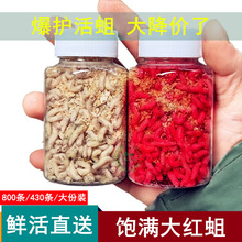 ��~���w���xҰ�Ϫʯ�ߴ�̖�t�����~���������r�������a���~���D