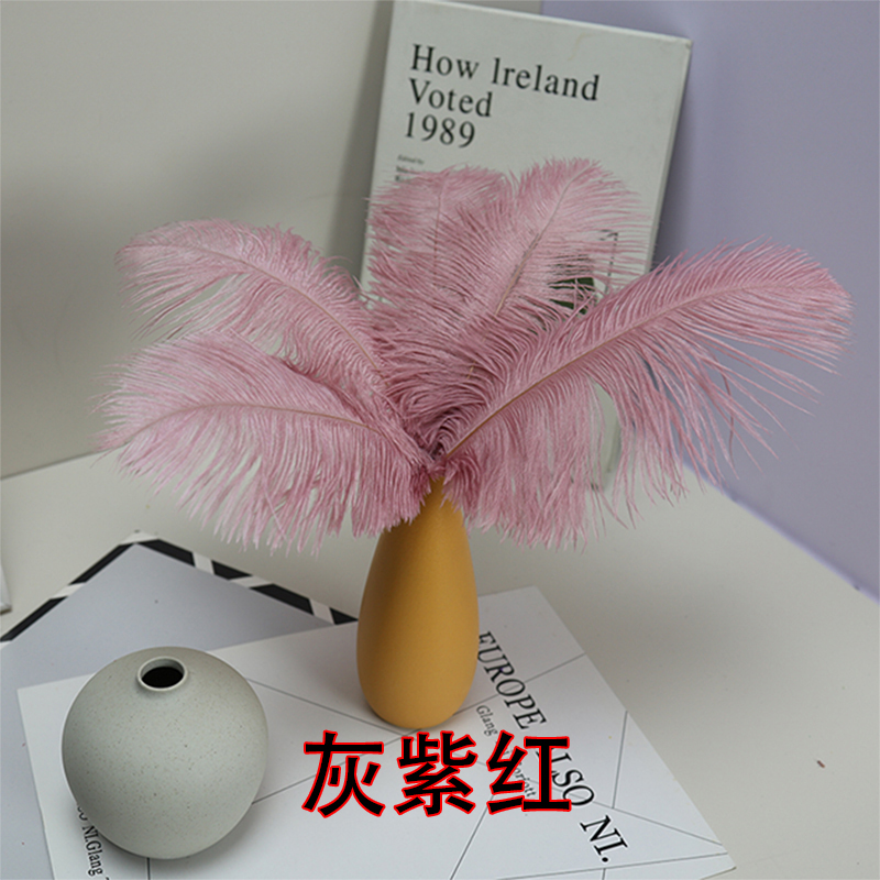 Plumas de avestruz bodas blancas de avestruz guía de plumas accesorios de fotos adornos rojo rosado en línea grandes plumas decoración