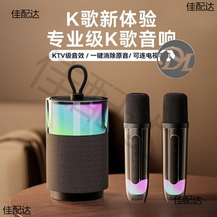 Le Du K Song Audio Microphone All-in-One Bluetooth Speaker Home Singing Family KTV suit