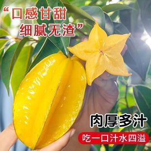 ���ڗ��Ҵ�������ºӑ����������r�Fժ���]�ЋD���r���l