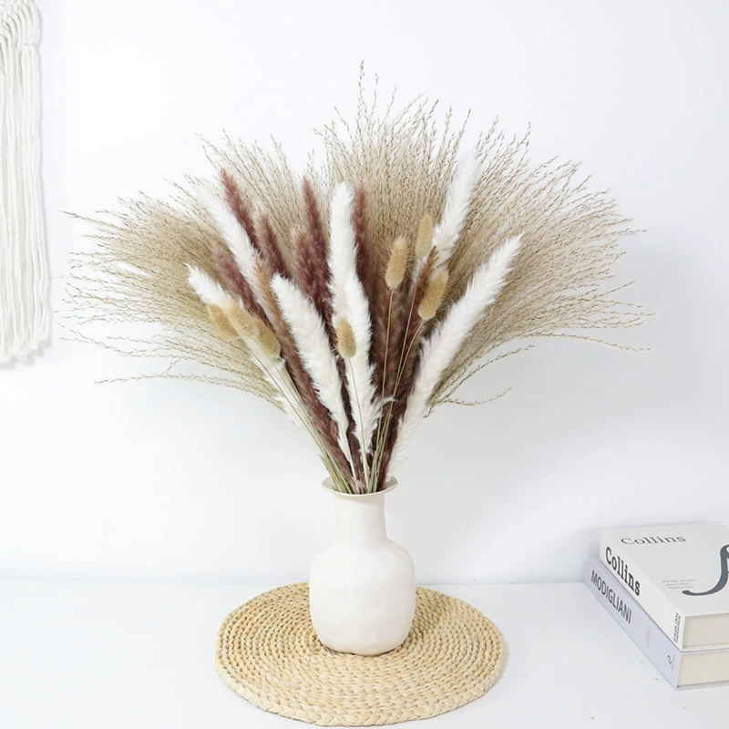 Organic set, wholesale, high-quality style