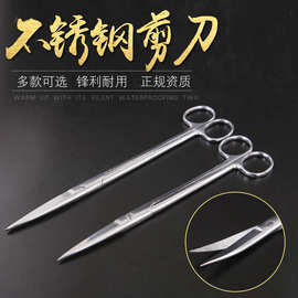 医用剪刀手术剪外科不锈钢弯头医疗级眼科护士小型拆线剪子镊子