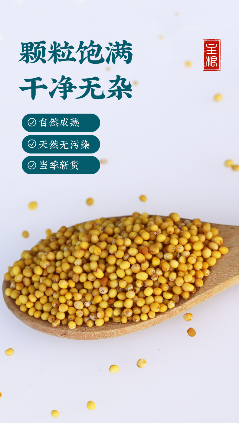 Yellow Mustard Seed 100g Bai Jie Zi Traditional Chinese Herb Culinary Spice Whole Seeds quality and texture