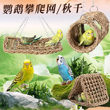 �W�^�����W��ǧ������ߺ������ݿ�ҧ���ǽ␞�B��߻�Ƥĵ���쾰