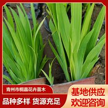 �G����ع��@ˮ���Sβ���� ˮ�����ܳ��G�Sβ �����쾰ˮ���Sβ��