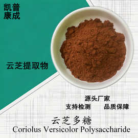云芝多糖20% 云芝提取物 水溶性云芝粉 多种规格 现货可寄样