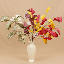 干枯银叶菊 仿真绿植森系软装家居插花装饰叶材婚庆布置叶材