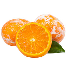 一件代發廣西茂谷柑新鮮水果臟臟柑橘橙石灰柑皮薄茂谷柑