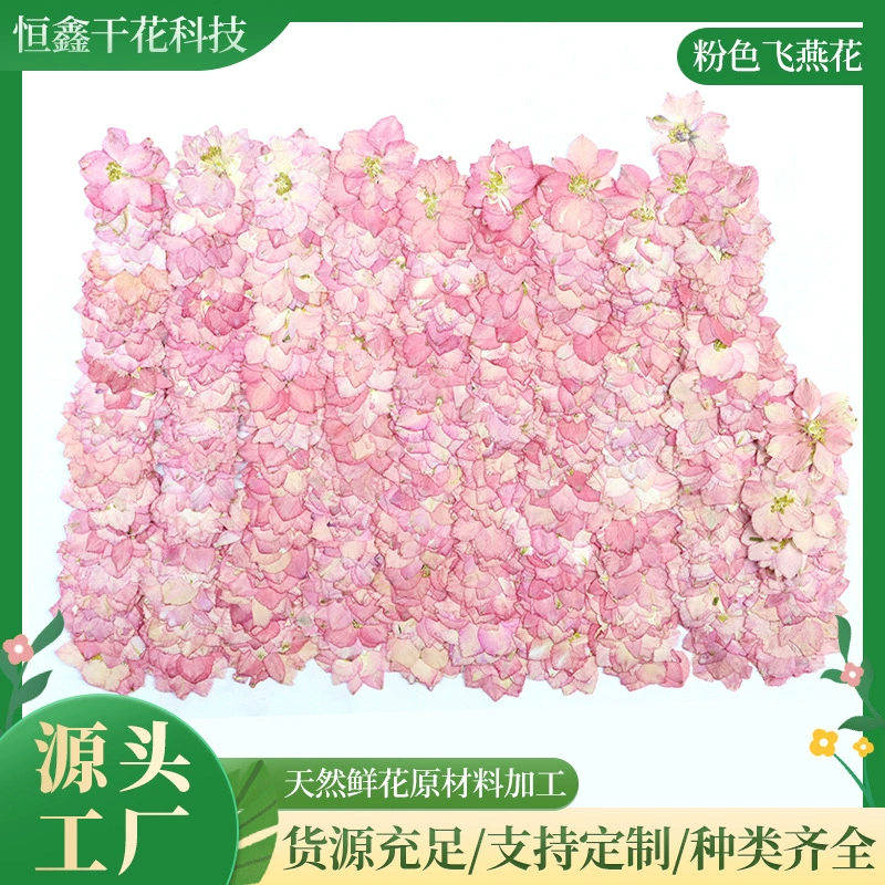 Розовый летающий ласточка цветок сушеный цветок