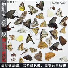 ˱˱δչ3Ǵbս̾µԭδչ