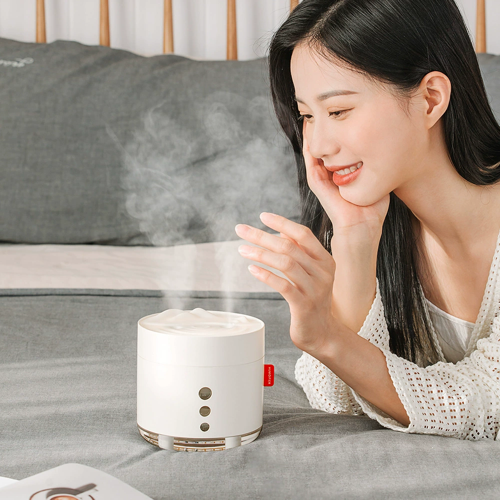 (Cross-border trading), capacious humidifier, moisturizing spray, antibacterial night light