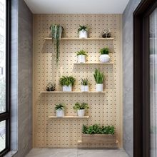 ���������l��ľ�堝�Ͽ׶��͏d����ܱڒ�N�����P����չʾ�ռ{��