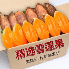农家新鲜天山雪莲果新鲜水果应当季云南孕妇雪连果黄心特产整箱