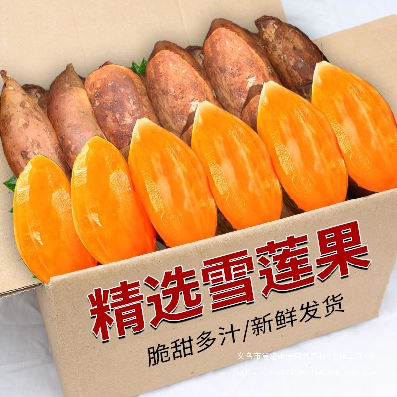 农家新鲜天山雪莲果新鲜水果应当季云南孕妇雪连果黄心特产整箱