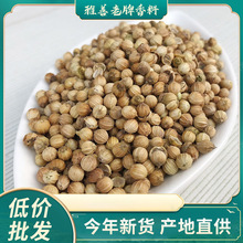  {ζ ܾݴuϰ偵ϴȫ{ζƷl