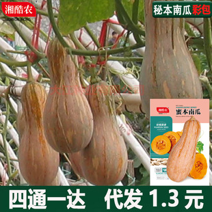 �����۱��Ϲ������玧������N�Ӹ߮a���콡������Nһ���ر�����