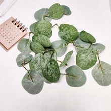 �羳���N���R�d������������~�~Ƭ��Y�Ƶ��쾰�b����յ������l