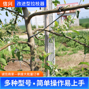 果树拉枝器定型器 改进型拉枝器弯枝开角器 拉树枝钩子果树固E18-阿里巴巴