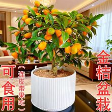 �ļ�������Ԏ��������ļ��҃������ӿ�ʳ���̨�͏d��ֲؔ����B