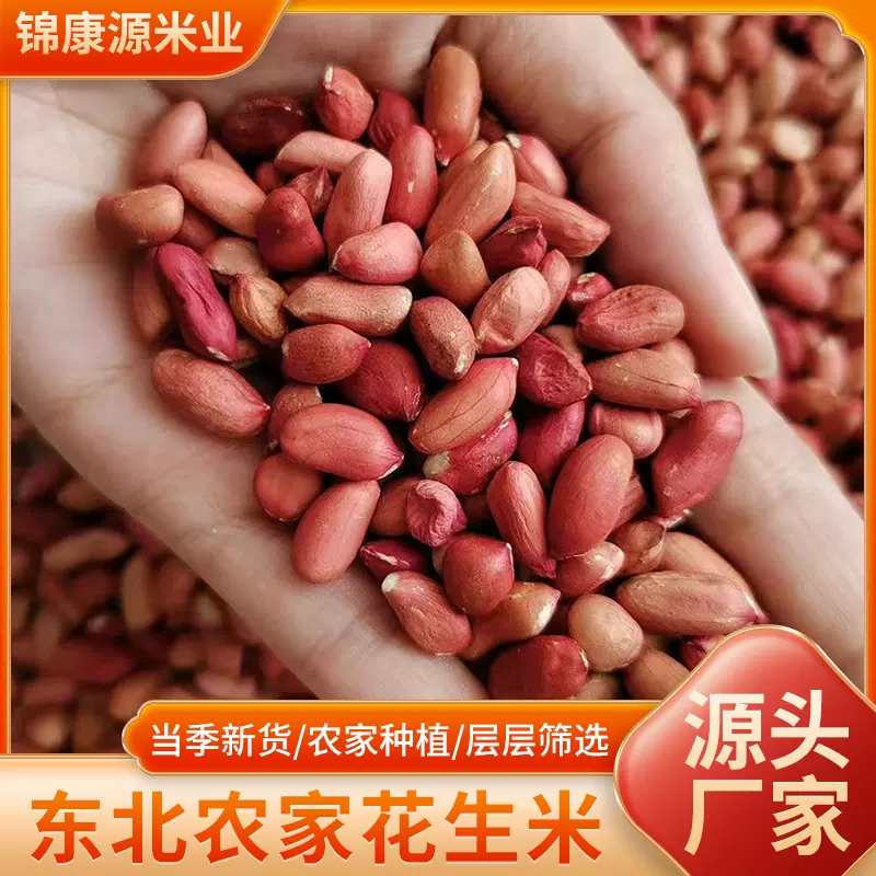 东北去壳红衣生花生米500g四粒红花生仁新鲜红皮不带壳新货米仁