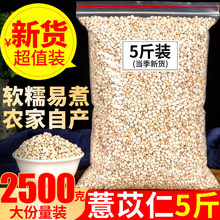 ޲��2500g޲����޲��������ɽș�����͌���С����t��޲�ײ���