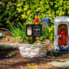 Cross-border Monument Main Tombstone Tombstone Plaque Red Bird Tomb Courtyard Outdoor Decoration