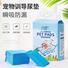 猫咪尿垫加厚吸水猫垫子卫生垫专用隔尿一次性尿布母猫小狗尿不湿