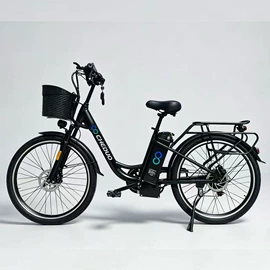 电动自行车;电动三轮车;其他电动车