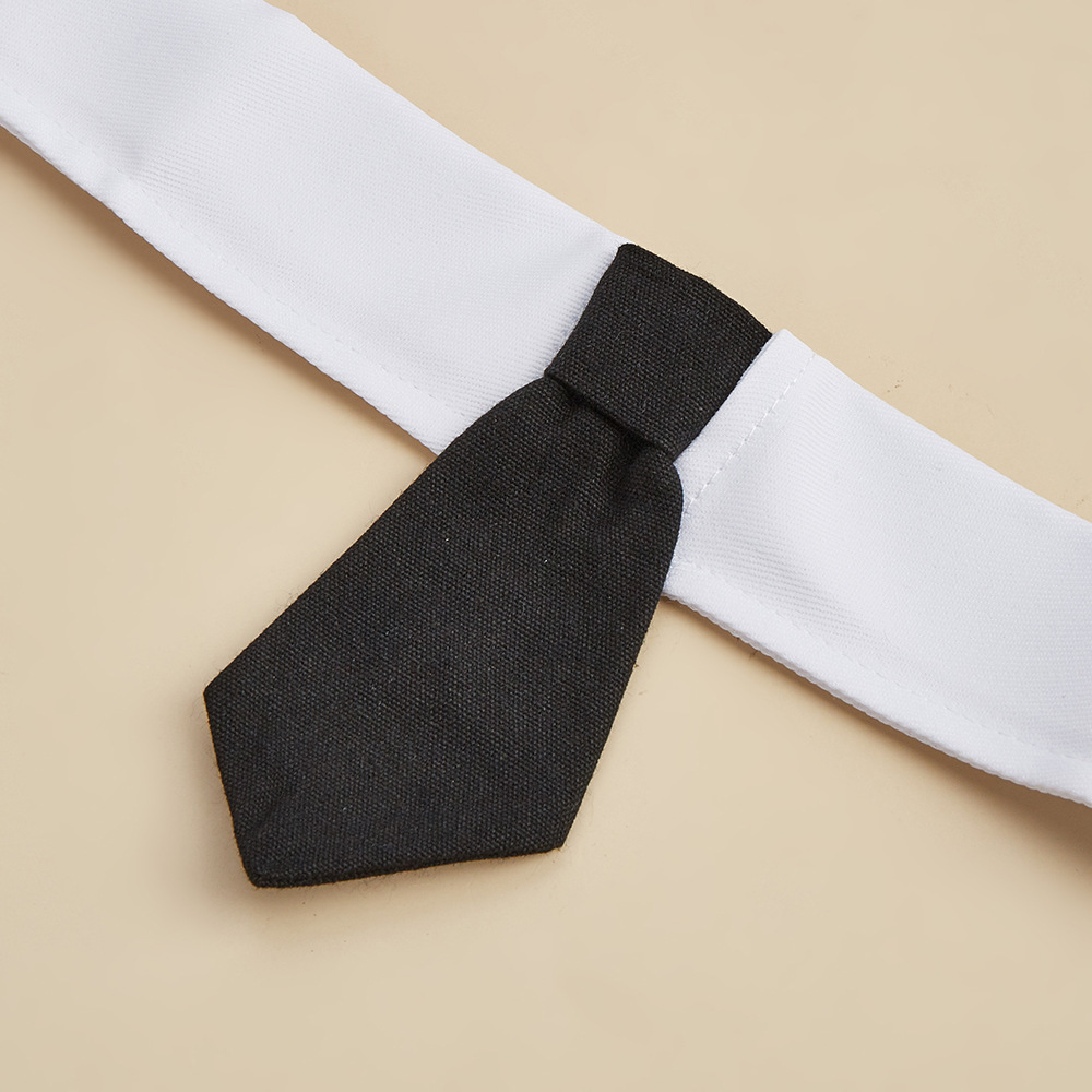 Tanpopo fábrica de nuevos productos guapo mascota corbata de perro velcro ajustable accesorios de mascota corbata de gato