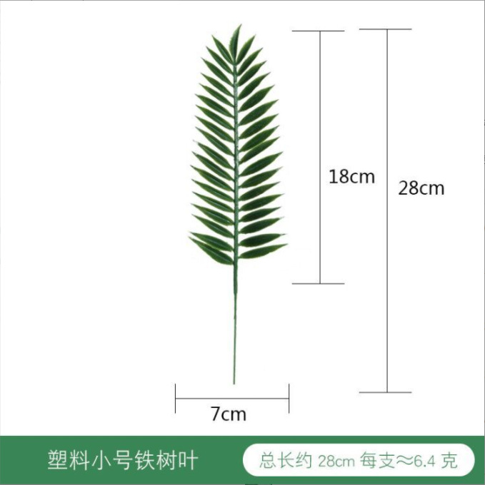 小号铁树叶