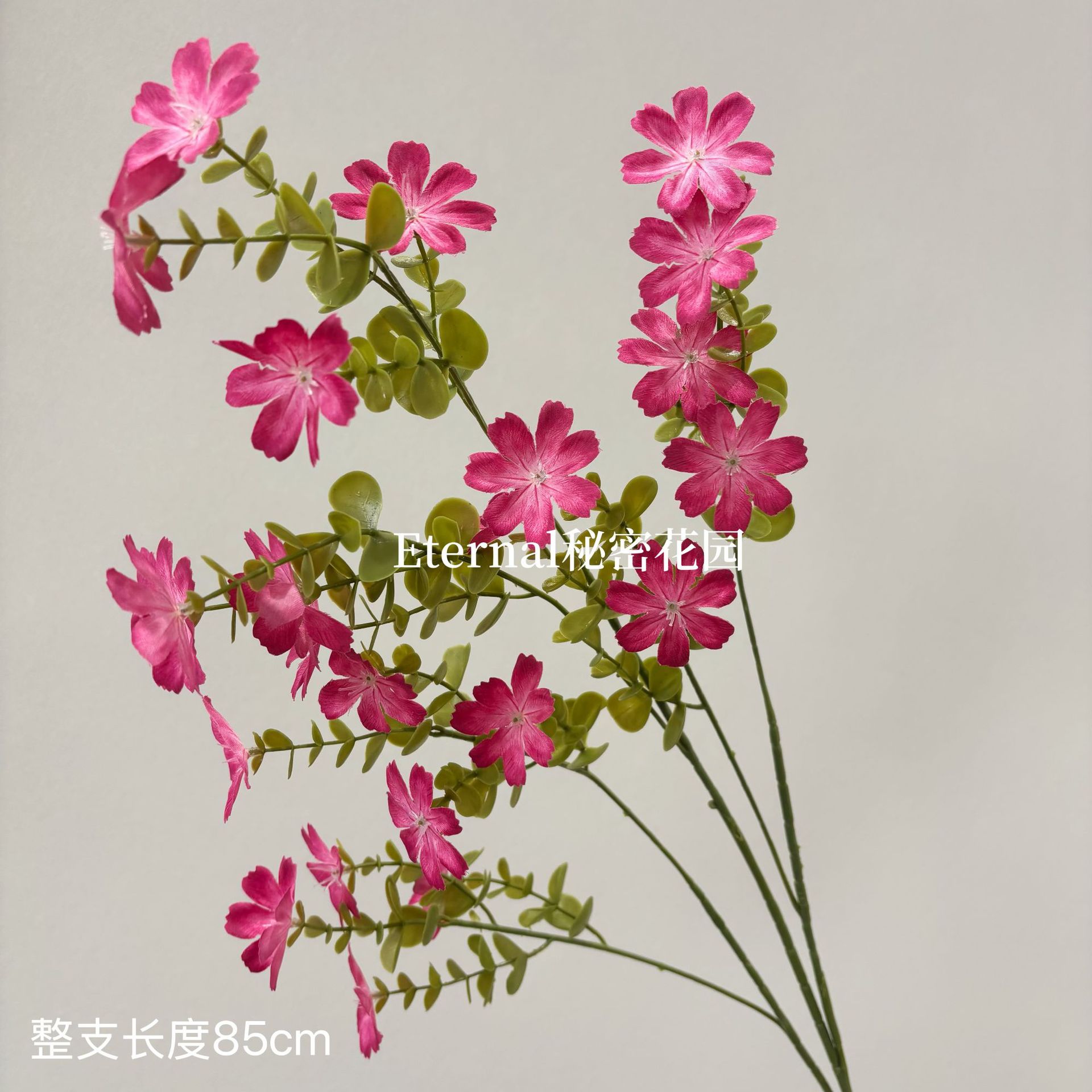 작은 야생화