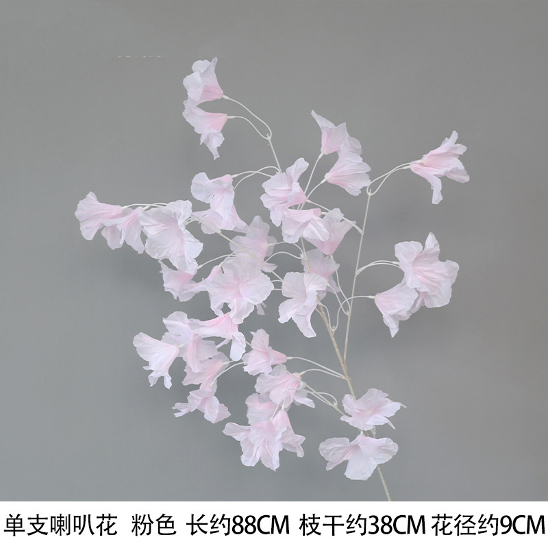 싱글 트럼펫 꽃