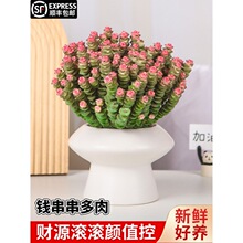 �X����ֲ����������k����������B�^�~���ܶ��^�Ϙ��ļ����B����