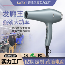 �羳�¿�늴��L�C���ʴ��LͲ2500W�l�͎��Ða�ذl�ȴ��L�C���l